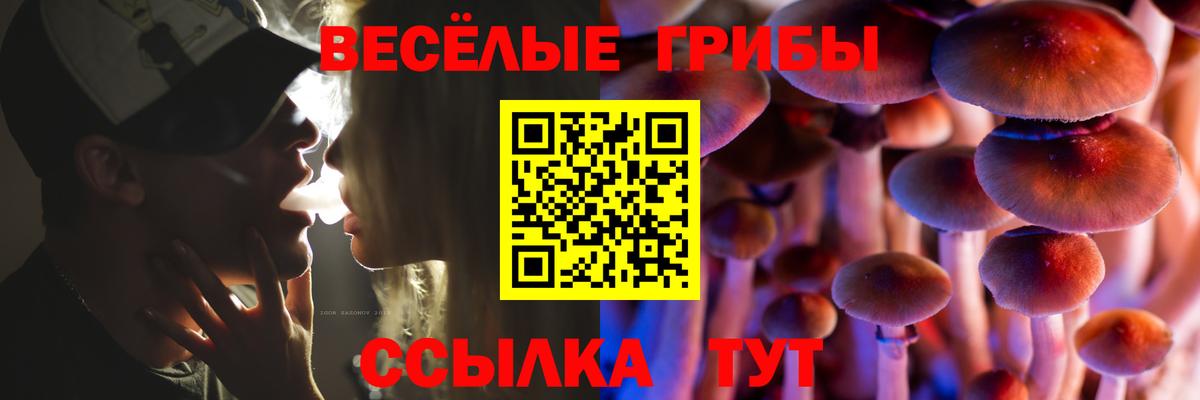 Галлюциногенные грибы MAGIC MUSHROOMS Кудымкар